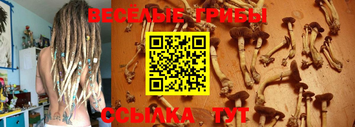 Михайловка  Галлюциногенные грибы Psilocybe  Псилоцибиновые грибы ЛСД  Вход с VPN 